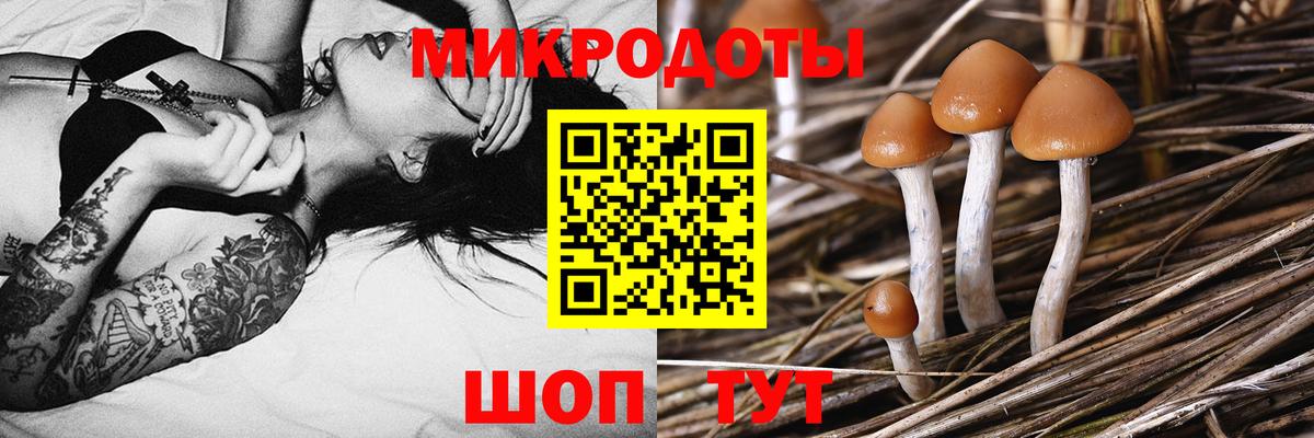 Псилоцибиновые грибы Magic Shrooms Новозыбков