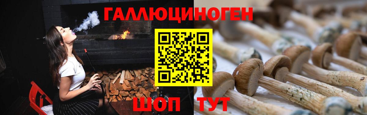 Новозыбков  Галлюциногенные грибы Psilocybe  Вход с VPN 